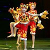 六一儿童男女小老虎演出服，幼儿园虎娃娃喜庆动卡通物舞蹈表演服装
