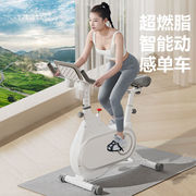 宏太（HongTai）宏太智能家用动感单车脚踏室内自行车健身房器材