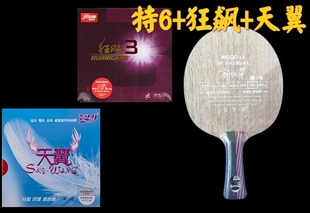 郭跃华乒乓球拍特6 红黑碳王7.6空心柄 7木+6碳T6内能碳素底板