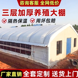 黑白膜养殖大棚防晒加厚骨架钢管全套定制连体连栋种植棚家用温室