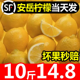 四川安岳柠檬新鲜皮薄，一级新鲜水果当季整箱，同城黄柠檬酸