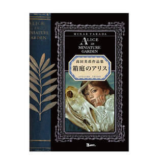 日文原版 箱庭のアリス 箱庭爱丽丝 書苑新社 高田美苗 木版画铜版画作品鉴赏艺术书籍