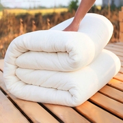 新疆棉被纯棉花被子冬被保暖棉絮，床垫被褥子单人，学生盖被双人被芯