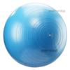 康复训练大龙球感统平衡巴氏球Bobath球按摩瑜伽球健身球