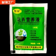 植物营养液通用型花卉绿植，液体肥料水培，叶面肥富贵竹营养液