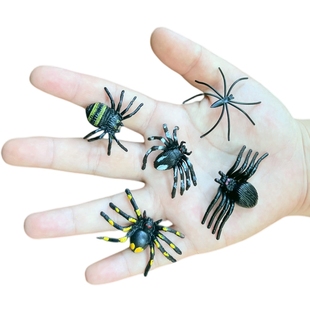 仿真小蜘蛛套装幼儿园儿童玩具认知吓人迷你可爱昆虫动物模型摆件