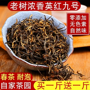 高山老树英德红茶英红九号红茶浓香型春茶买一斤送一斤发2斤