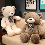 毛毛熊抱抱熊女生女孩床上玩具，熊网红毛绒大熊小熊，玩偶大公仔生日