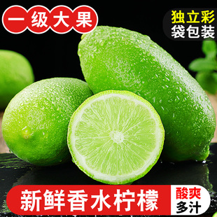 广东香水柠檬10斤新鲜现摘应当季水果青柠檬奶茶店专用5