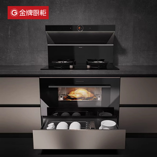 金牌厨柜整体家用简约橱柜灶台柜柜电一体好厨房定制全屋定制
