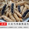 2023云南特产富硒黑花生带壳四粒香甜老品种黑花生新货可做种子
