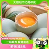 雀AA级新鲜绿壳鸡蛋40g*10枚农家散养青皮乌鸡蛋土笨柴鸡蛋早餐