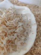 南澳特产淡干食用特级无盐海米虾米新鲜干货虾皮，补钙即食袋装250g