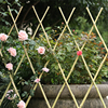 竹篱笆栅栏围栏植物爬藤花架，庭院花园菜园竹子护栏户外伸缩竹围墙