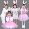 六一儿童节兔子演出服幼儿园小白兔，乖乖动物短袖，连体纱裙表演夏季