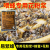 花粉浆喂蜂养蜂专用蜜蜂，中蜂饲料蜂粮油菜，花粉蜂具工具