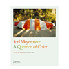 乔尔迈耶罗维茨 色彩问题 Joel Meyerowitz A Question of Color 英文原版城市街头景观摄影集艺术画册 彩色摄影大师作品