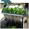 空心菜无土栽培蔬菜设备生菜水芹菜漂浮种植板鱼塘鱼菜共生种菜板