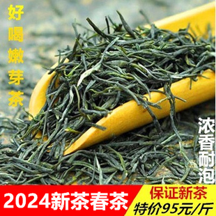 高山绿茶2024新茶绿茶永川秀芽新茶，绿茶明前毛尖毛峰绿茶一斤95元