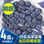 丹东蓝莓新鲜蓝莓鲜果，孕妇东北蓝莓鲜果，辅食现摘蓝莓大果整箱