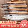 鳗鱼干干货500g新晒自制整条海鳗鱼，咸鱼干风干鱼海鲜水产日照特产