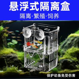 孔雀鱼繁殖盒幼鱼鱼缸，隔离斗鱼鱼苗产卵器热带鱼，亚克力隔离孵化盒