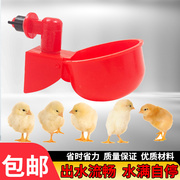 鸡用自动饮水器养鸡喂鸡鸭鹅小鸡喝水饮水碗鸽子喂水神器家禽养殖