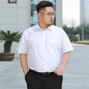 商务正装特大码短袖，衬衫男士薄款修身工作装纯色，加肥宽松胖子衬衣