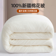 新疆棉花被子纯棉花全棉春秋冬被芯垫被棉絮棉被冬被加厚保暖2151