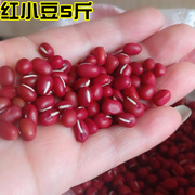 东北红小豆农家自种自产新货2022年新收获(新收获，)小红豆黑龙江粗粮5斤装