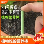 植物营养棒绿植盆栽，家用种花养花通用型，植物花卉多肉长效缓释肥料