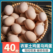 正宗土鸡蛋10枚农家散养新鲜农村自养草鸡蛋柴鸡蛋本笨鸡蛋整箱40