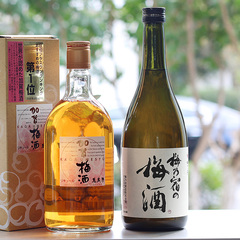 2瓶装日本梅酒进口梅乃宿青梅720ml万岁乐加贺梅酒720ml组合