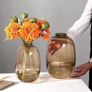 高级感马醉木专用大肚瓶玻璃花瓶客厅插鲜花透明水养吊钟落地装饰