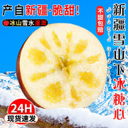 新疆阿克苏冰糖心苹果水果，新鲜10斤整箱，应当季正宗富士丑平果