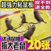 强力粘鼠板老鼠贴强力灭鼠老鼠夹捕鼠，神器灭鼠捕鼠老鼠