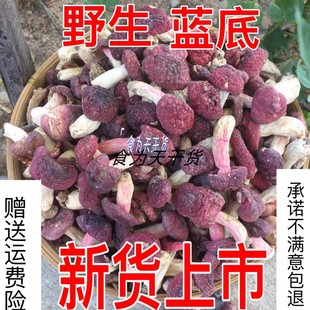 新货武夷山野生小红菇正宗福建特产红椎菌，干货特级红蘑菇小菇蕾