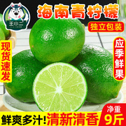 海南青柠檬5斤新鲜当季水果小香水柠檬一级青桔整箱皮薄无籽
