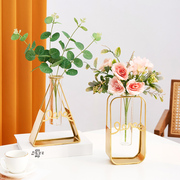 北欧ins风花瓶玻璃透明创意摆件简约干花鲜花客厅餐桌插花装饰品