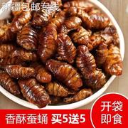 *新疆西藏买5袋送5袋山东特产酥脆熟蚕蛹即食蚕蛹高蛋白