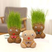 草头娃娃头上长草人植物趣味盆栽，浇水长头发，迷你绿植儿童观察生长