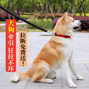 狗狗牵引绳项圈小型中型大型犬狗链子遛狗绳背带宠物用品外出神器