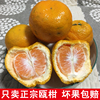 瓯柑温州丽水特产苦橘自种苦柑应季新鲜水果桔子丑橘欧柑中果10斤