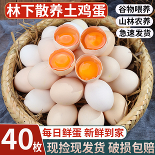 新鲜土鸡蛋农家散养正宗草，鸡蛋笨柴鸡蛋，孕妇柴鸡蛋40枚整箱禽蛋