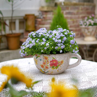 美式乡村做旧复古个性创意粗陶彩釉贴花冰裂多肉金杯茶杯状小花盆