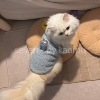 冬款猫咪衣服羊毛羔保暖可爱小怪兽背心金吉拉布偶比熊蓝色衣服