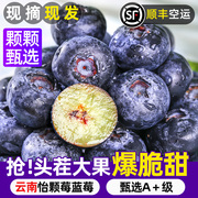 蓝莓鲜果怡颗莓云南高山大果，一颗莓脆甜新鲜水果