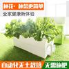 定制阳台种菜組合式无土栽培设备有机蔬菜种植箱立体花盆四层带灯