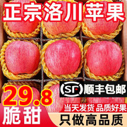 新鲜水果洛川苹果陕西正宗产地直发延安红富士当季整箱10