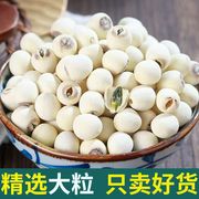 2023年新货白莲子带芯干货500g特级湖南湘潭农产磨皮有芯无硫湘莲